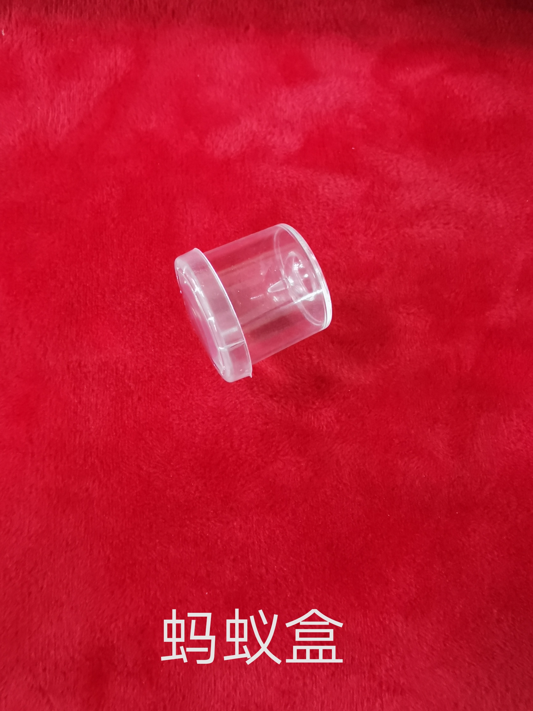 黑河蚂蚁盒